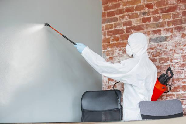 Asbestos and Lead Testing During Mold Inspection in Yacolt, WA