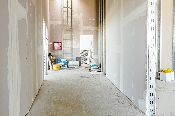 Mold Odor Removal Services in Yacolt, WA